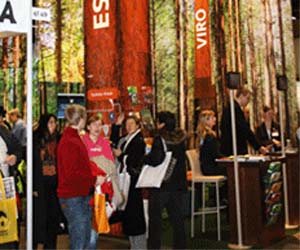 Senza titolo-14 copia.jpg