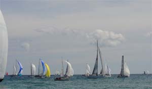 regata.jpg