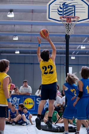 basket c2.jpg