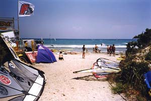 spiagssanitook copia.jpg