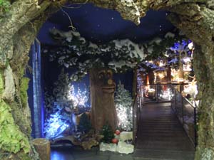 il grandalbero della fore copia.JPG