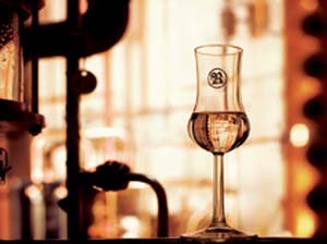 Roner_Glas_web copia.jpg