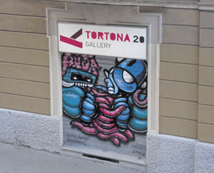 torto copia.JPG