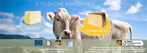 asiago 02.jpg