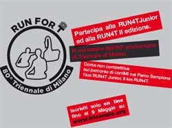 run4t 02.jpg