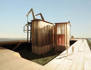 confooderatio 03.jpg