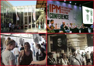 IPM 02.jpg