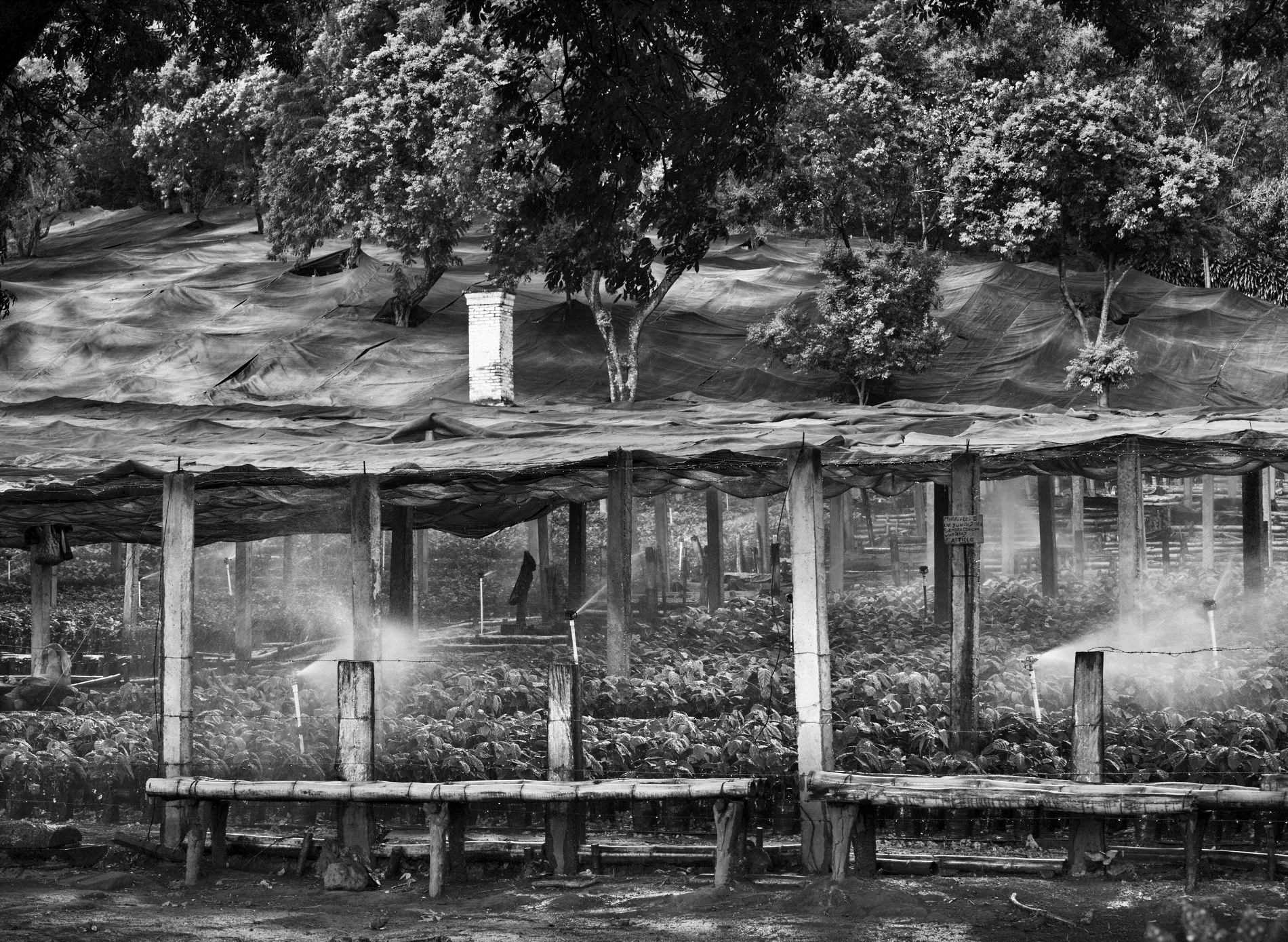 el salvador 13-2-4358.jpg