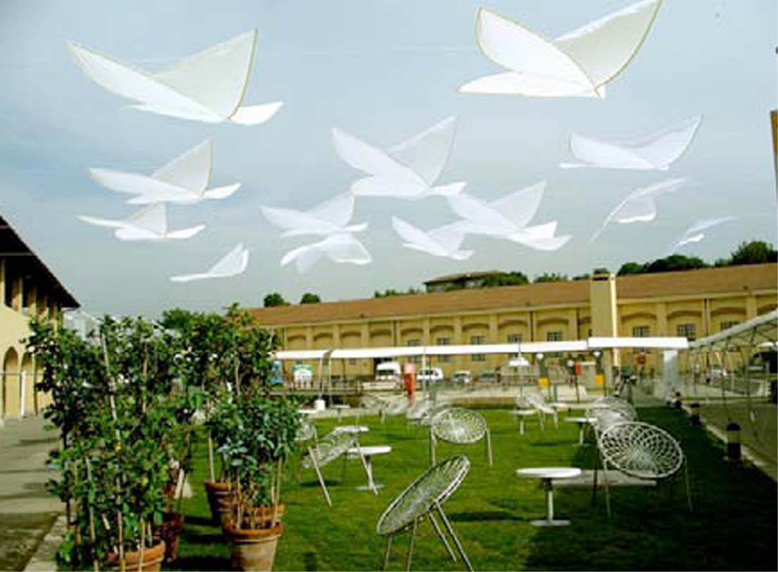 pittifarfalle1.JPG