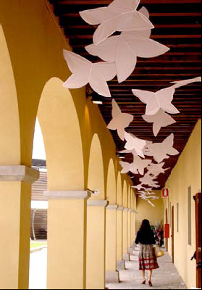 pittifarfalle2.JPG
