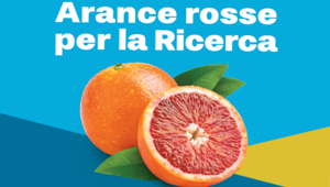 Gruppo Finiper Canova a sostegno di Fondazione AIRC grazie all'iniziativa nazionale di raccolta fondi "Arance rosse per la Ricerca"