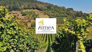 AB Comunicazioni si aggiudica la gara di Ismea per l’organizzazione eventi in Italia e all’estero. Il contratto biennale vale un milione di euro