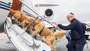 K9 Jets sceglie Aviareps per la gestione delle PR in Italia