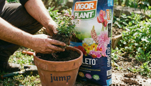 Vigorplant sceglie Jump per concept, strategia e contenuti digitali 2026