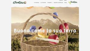 La Trentina presenta il nuovo sito con Made in Cima, PlusCommunication e G&A