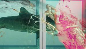 Dal 17 ottobre su La7 arriva Artbox, il magazine di arte e cultura dedicato alle migliori mostre internazionali