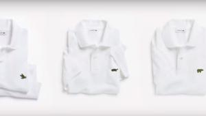 Lacoste lancia il logo dedicato alle 'specie a rischio'