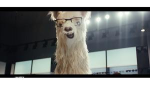 “No problama! C’è lama!”: è di Armando Testa la nuova campagna promozionale per Lama Optical
