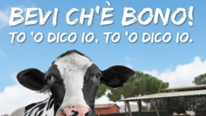 Filiera Latte Lazio affida a Stylum (Gruppo Altavia) il suo debutto in comunicazione