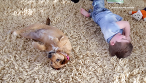 Cookies & Partners firma lo spot per celebrare le conquiste di LAV