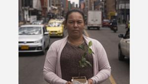 “Coffee Defenders, a Path from Coca to Coffee”, il documentario Lavazza firmato We Are Social. Il 5 giugno su Amazon Prime Video