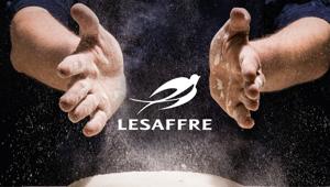 Lesaffre Italia affida la comunicazione ad Expansion Group