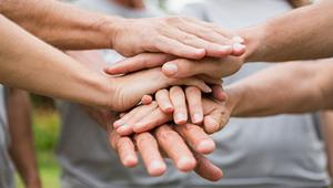 33° Giornata del Volontario, oltre 700 grazie da Lilt - Lega Italiana per la Lotta contro i Tumori