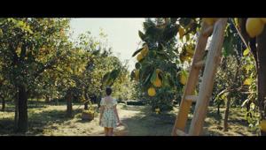 Nuovo spot e veste grafica per Limoncetta di Sorrento con la firma di PicNic. Dal 26 marzo in TV su tutte le reti Rai e nei punti vendita con un nuovo pack