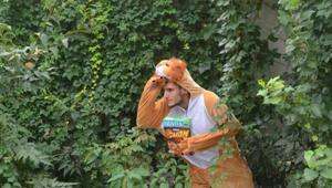 Cereali Lion, guerrilla in sette città italiane con ScuolaZoo