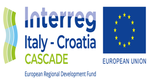 Regione Puglia apre una gara da 70 mila euro per attività di comunicazione e organizzazione di eventi