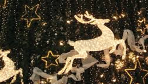 In via Torino a Milano è “Magica Emozione” con le luci di Natale accese dallo sponsor Caffè Borbone