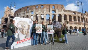 MAI TAI supporta HSI per l’organizzazione di un’attivazione di guerrilla marketing a Roma per la campagna #NotInMyWorld