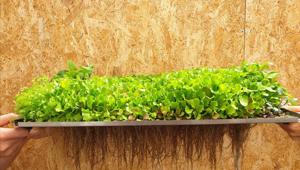 Agricooltur affida le attività di comunicazione, social media management e consulenza strategica a Green Media Lab