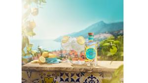 Malfy Gin rinnova l’incarico annuale a Digitouch Marketing per attività di SEO e gli affida anche la realizzazione del nuovo Malfy Magazine online