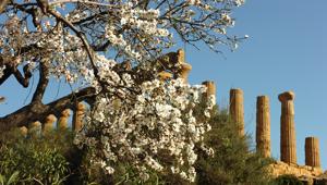 'Le Soste di Ulisse' alla 74esima edizione del 'Mandorlo in Fiore' di Agrigento, che si terrà dall'1 al 10 marzo. Workshop per bambini e promozione delle eccellenze siciliane