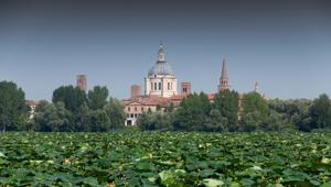 Al via il primo Forum Mondiale sulle Foreste Urbane