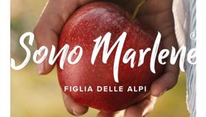 Marlene va in tv e online con Demner, Merlicek&Bergmann scelta nella gara a 8. Budget 3 milioni di euro