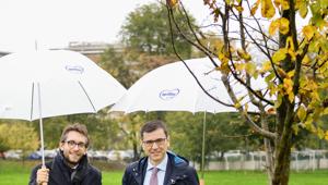Mellin e il Comune di Milano danno il via alla piantumazione di 100 alberi nell’area verde dell’Ospedale San Paolo