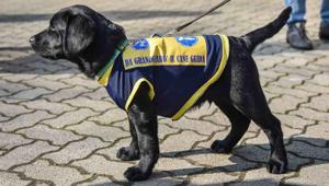 Maxi Zoo, record di 150.000 euro per la terza edizione dell’iniziativa benefica 'Dai Una Zampa!'