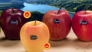 Melinda rafforza la propria presenza digitale con il nuovo e-commerce