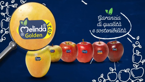 Melinda sceglie 'Lezioni di etichetta' di Rai Pubblicità per promuovere i valori di sostenibilità e benessere