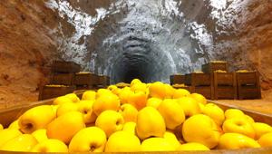 Melinda e Soluzione Group rinnovano la collaborazione per il sesto anno consecutivo