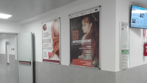 Meneghini & Associati vince la gara e amplia il network di comunicazione con il progetto 'Partner in sanità' in Emilia Romagna