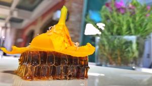 “Il Paese dei Sapori” venerdì 28 luglio alle 22 su Reteconomy