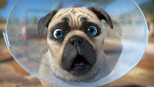 Mike il Carlino, la nuova serie in prima tv assoluta dal 9 settembre su Boomerang