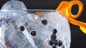 Milano Gin & White Spirits Festival 2018: un nuovo appuntamento dedicato al buon bere