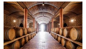 'Bere meno, ma bere meglio' il motto di Arte del Vino che in collaborazione con The Circus torna con l'edizione 2019 del Milano Wine Festival