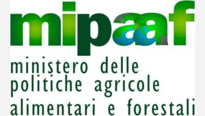 Sono 9 le sigle ammesse alla gara per la promozione degli eventi ippici del Ministero delle Politiche Agricole Alimentari e Forestali. Budget 400 mila euro