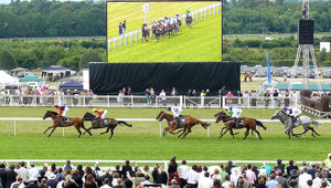 Sono 9 le sigle ammesse alla gara per la promozione degli eventi ippici del Ministero delle Politiche Agricole Alimentari e Forestali. Budget 400 mila euro