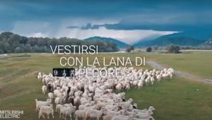 Nuovo spot e nuovi soggetti per la campagna digital di Mitsubishi Electric, “il piacere del clima ideale”